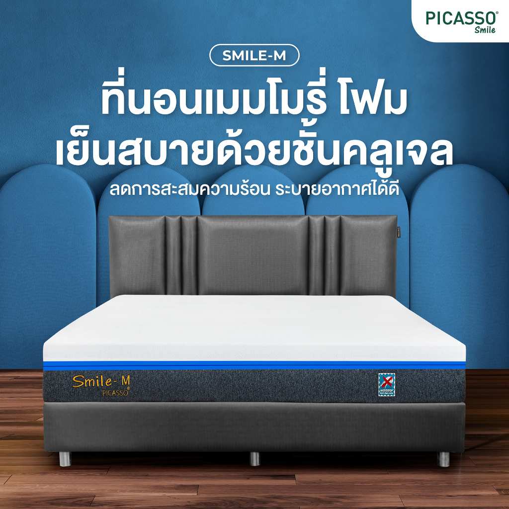 Smile by Picasso ที่นอนเมมโมรี่โฟม รุ่น Smile M ฟรีหมอนหนุน จัดส่งแบบสุญญากาศ  [รับประกัน 10 ปี]