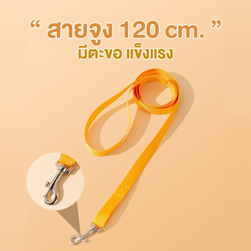 เชือกจูงแมว รุ่นOP212 สายจูงแมว สายรัดอกแมว สายจูงสุนัข รูปที่ 2