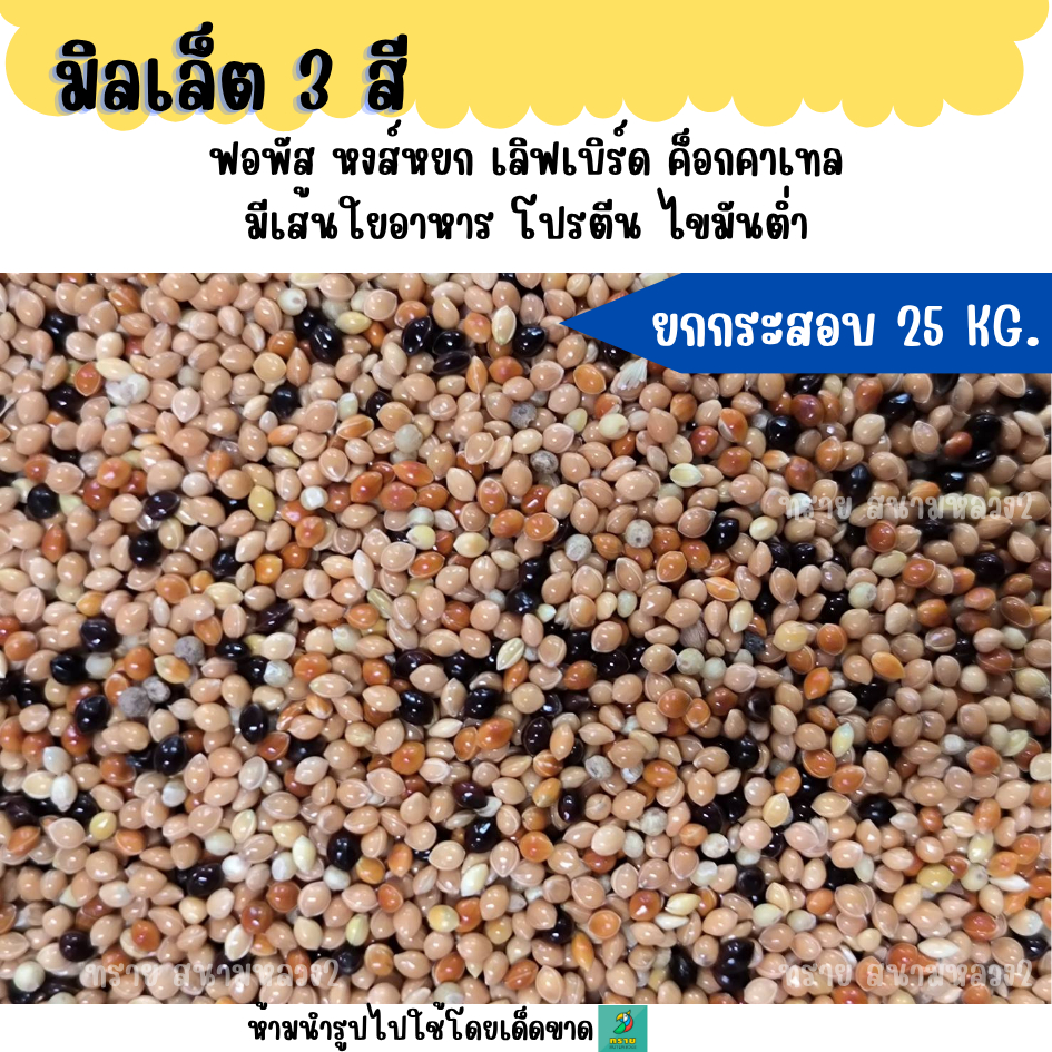 (ยกกระสอบ 25 KG.) มิลเล็ต3 สี  อาหารนกแก้ว