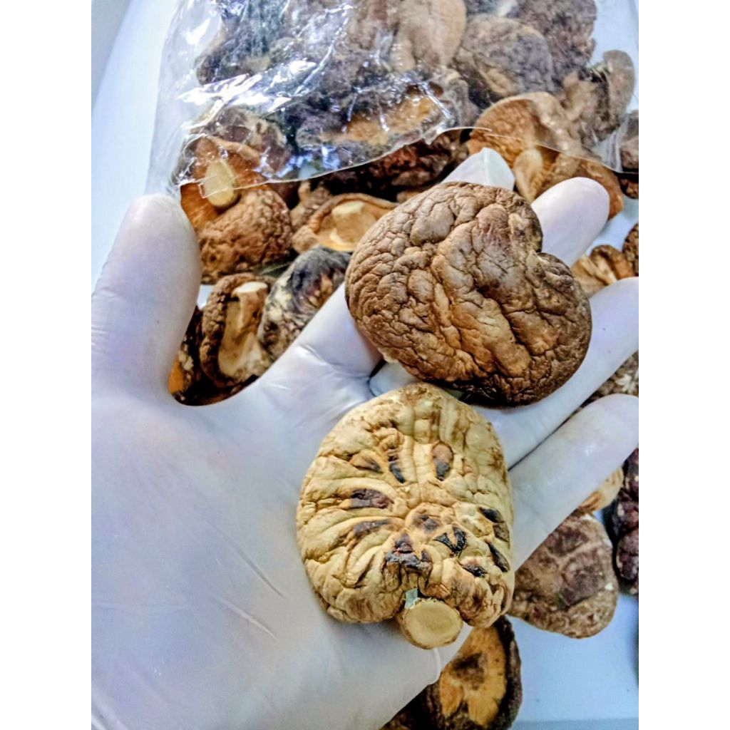 เห็ดหอมตากแห้งไซส์ใหญ่  ( คัดเกรดพรีเมียม)เนื้อหนา หอม อร่อย เหมาะสำหรับประกอบอาหาร ราคา ถูกที่สุด ดีลบีเคเค แกลเลอรีภาพที่ 3