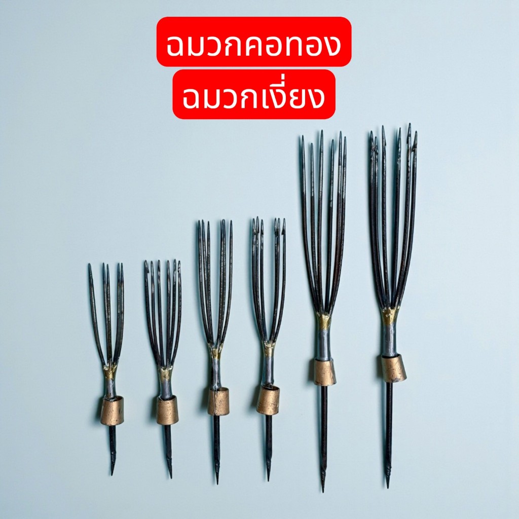 ฉมวกทอง มีเงี้ยง กับไม่มีมีเงี้ยง ฉมวกหาปลา