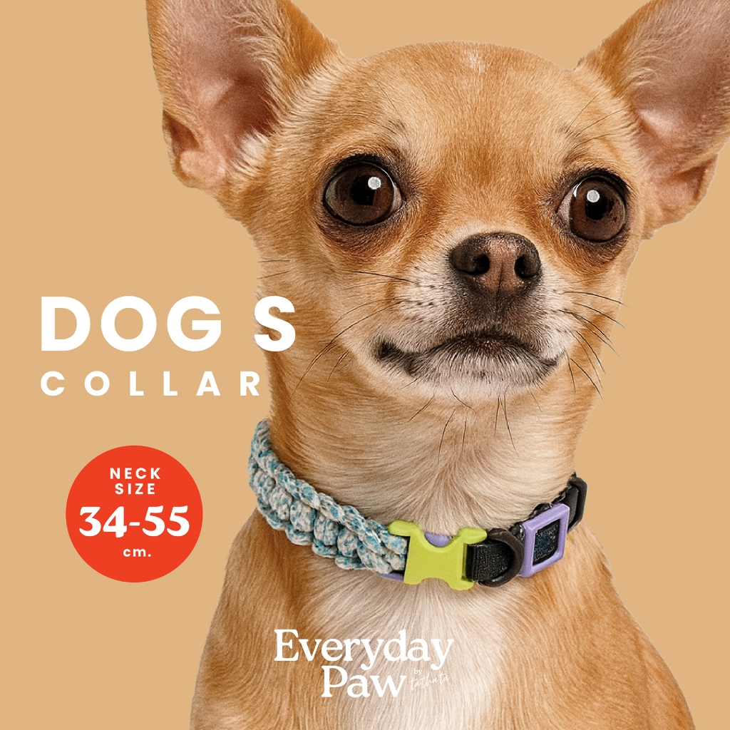 ปลอกคอสุนัขพันธุ์เล็ก รุ่น Dog S แบรนด์​ Everyday Paws by TA.THA.TA