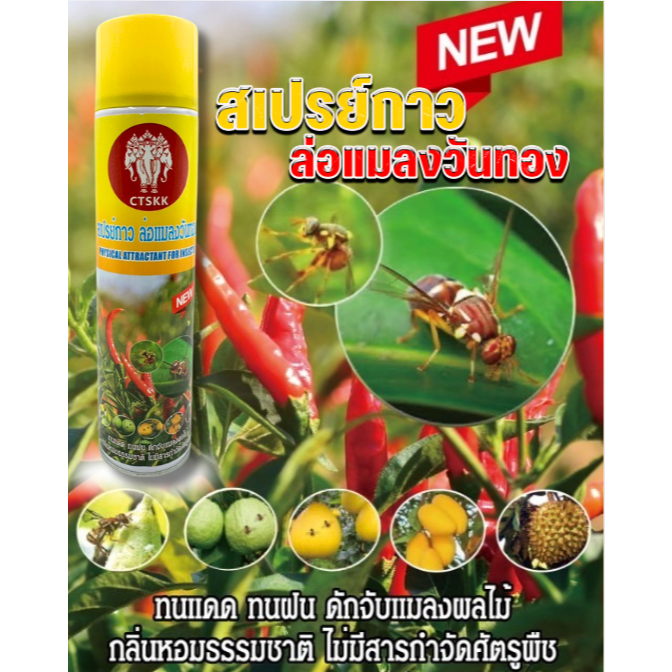 CTSKKสเปรย์ล่อแมลงวันทอง สเปรย์กาวดักแมลง ขวดใหญ่คุ้มสุดๆ ขนาดบรรจุ750ml แค่ฉีดศัตรูพืชก็หาย ผลผลิตงาม