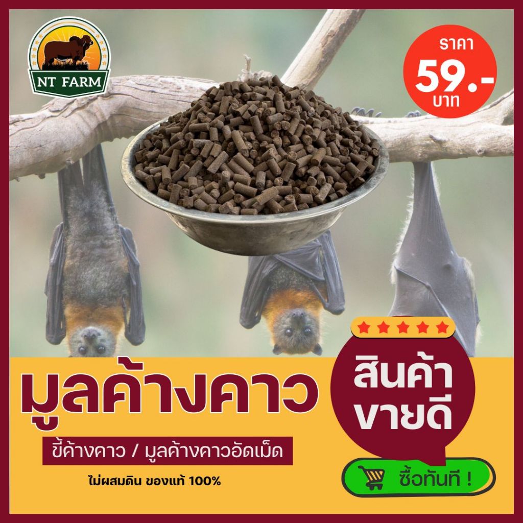 มูลค้างคาวอัดเม็ด (ขี้ค้างคาว) ปุ๋ยอินทรีย์ ขนาด 1kg | NT FARM