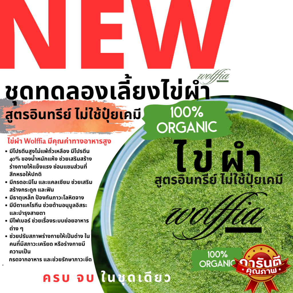 ฟาร์มบ้านเรา ชุดKit เลี้ยงไข่ผำในกะละมัง ชุดทดลองเลี้ยง ไข่ผำwolffia ชุดมือใหม่ แบบง่ายๆ สูตรแบบอินทรีย์ไม่ใช้ปุ๋ยเคมี