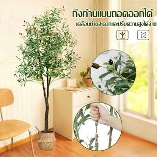 【สั่งแล้วฟรีกระถางดอกไม้】ต้นโอลีฟ ต้นมะกอกปลอม 120/150/180cm สไตล์นอร์ดิกอิน ลำต้นสีน้ำตาลเหมือนของจริง ต้นไม้ปลอมใหญ่