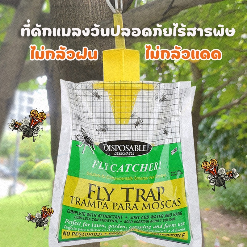 ดักแมลงวัน ทีดักแมลงวัน ดักแมงหวี่ Fly Trap Killer ดักจับด้วยกลิ่น ปลอดภัยเป็นมิตรต่อสิ่งแวดล้อม