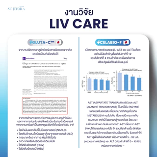 LIV CARE ( 15 CAPSULES ) ทานหลังมื้ออาหาร (ลิฟแคร์)