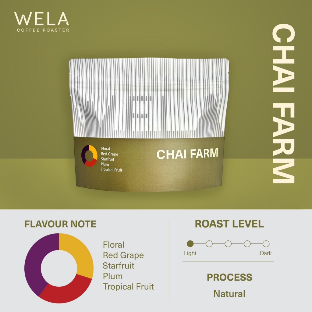 เมล็ดกาแฟคั่ว CHAI Farm Pangkhon, Natural Process, Light Roast