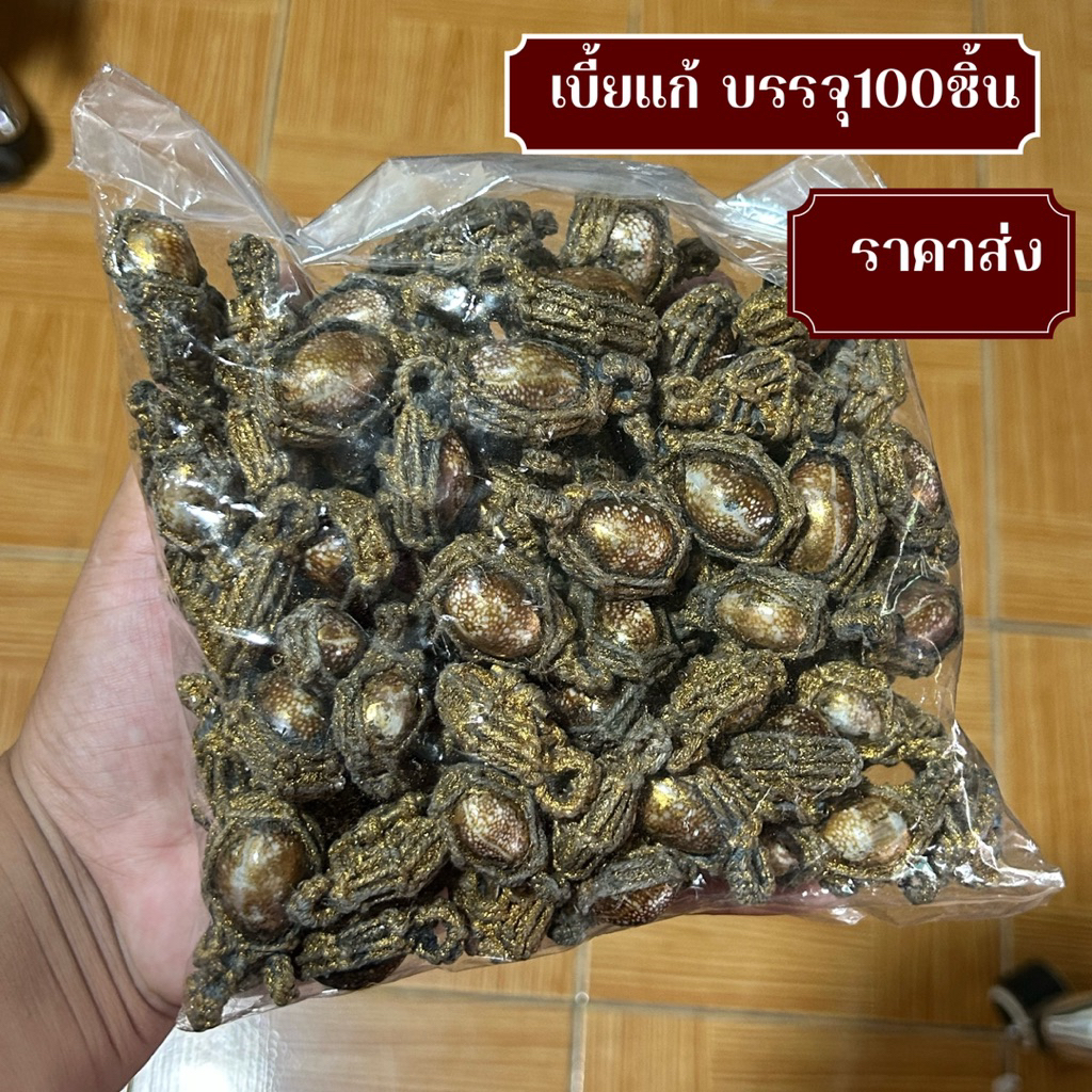 เบี้ยแก้100ชิ้น เบี้ยแก้มงคล ราคาส่ง