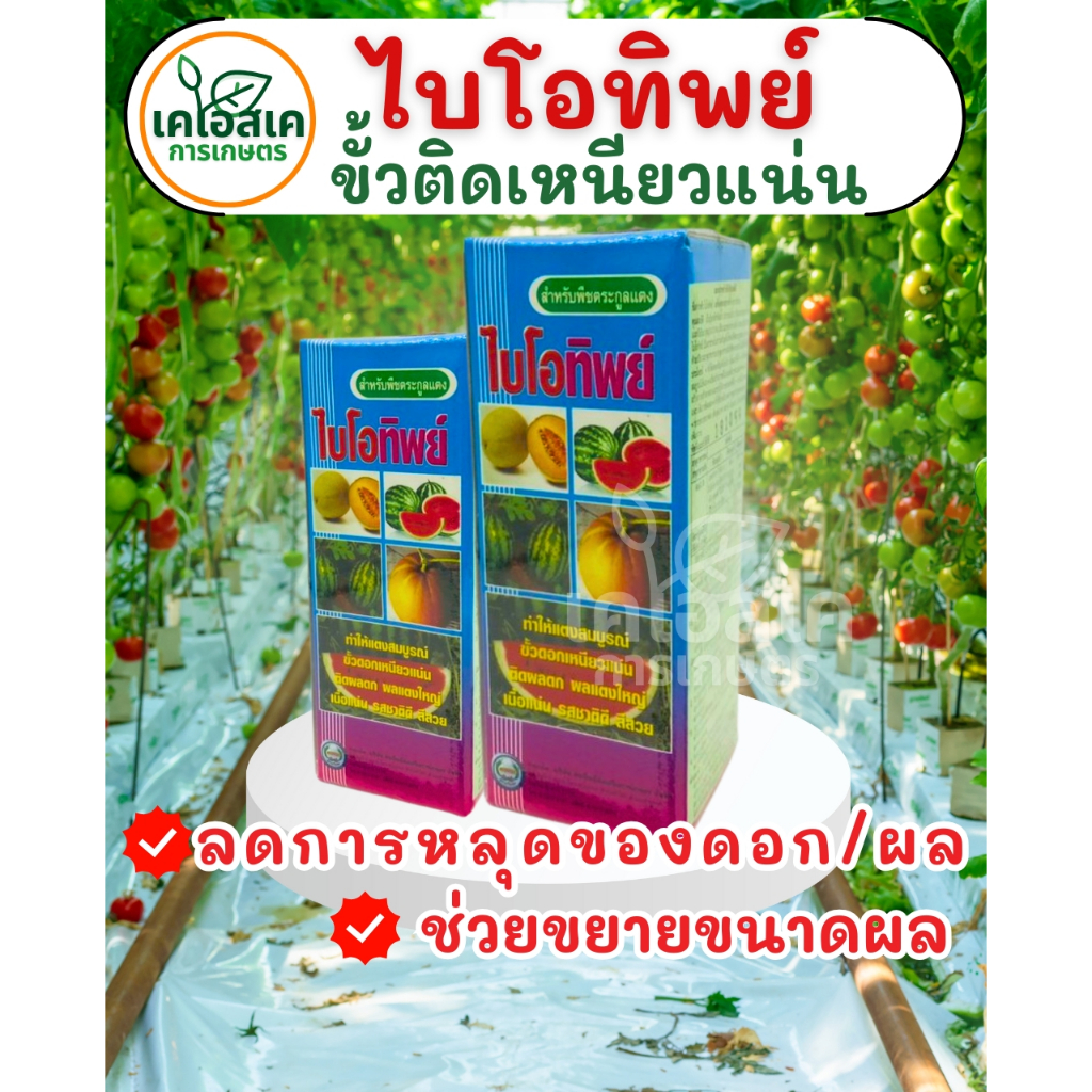 ส่งด่วน🔥ไบโอทิพย์ ขั้วดอกเหนียวแน่น ฮอร์โมนพืชช่วยให้ขั้วเหนียว ตราหวีทอง ขนาด 500/1000 CC