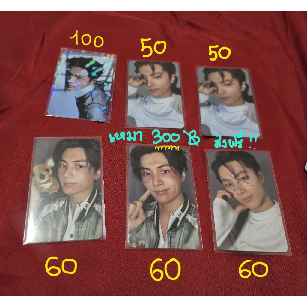การ์ด JAY ENHYPEN แกะเองจากบั้ม ไม่มีตำหนิ เก็บในแฟ้มอย่างดี 💯❤️‍🩹