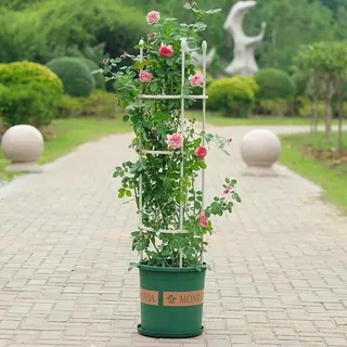 🌹 ซุ้มไม้เลื้อย กุหลาบ 4 ขนาด 🌿 โครงเหล็กดัด เคลือบ PE กันสนิม ใช้ในกระถางได้ ซุ้มปลูกไม้เลื้อย ระแนงตกแต่งสวน