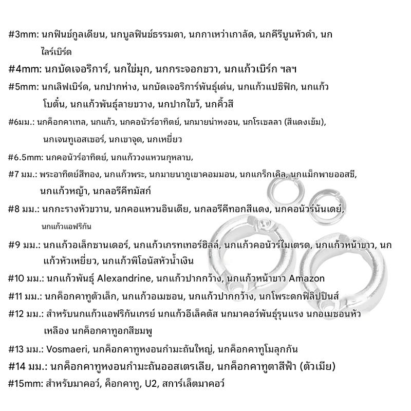 coralcoveshop ห่วงขานก วงขานกแบบล็อกได้ สังกะสีอัลลอยด์ รูปที่ 8