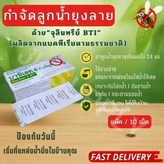 จุลินทรีย์กำจัดลูกน้ำ ยาพ่นยุง กำจัดลูกน้ำ ไม่มีสารเคมีเป็นมิตรกับสิ่งแวดล้อม (10 เม็ด/แผง)
