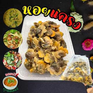 ‼️หอยแครงแกะพร้อมทาน+ฟรีน้ำจิ้มซีฟู้ด‼️แกะต้มใหม่ทุกออเดอร์🐚…