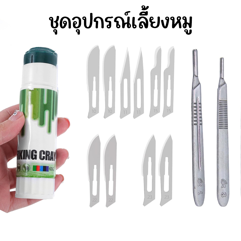 ชุดอุปกรณ์เลี้ยงหมู มีดตอนหมู แท่งสีสำหรับทำเครื่องหมายหมู ส่งในไทย