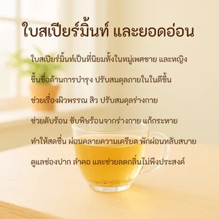 🌱 ใบสเปียร์มิ้นต์อบแห้ง 🌱 ขนาด 30 กรัม 🌱 บรรจุถุงซิป 🌱 Spear Mint 🌱