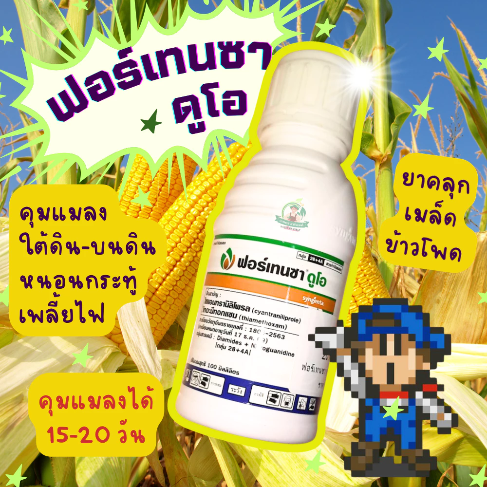 ฟอร์เทนซา ดูโอ 100 มล. ซินเจนทา ยาคลุกเมล็ดข้าวโพด ป้องกันหนอน