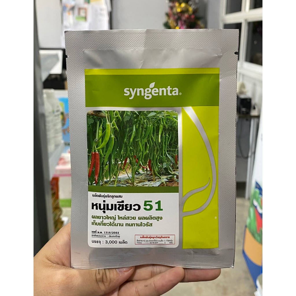 พริกหนุ่มเขียว 51 Syngenta ขนาด 3000 เมล็ด