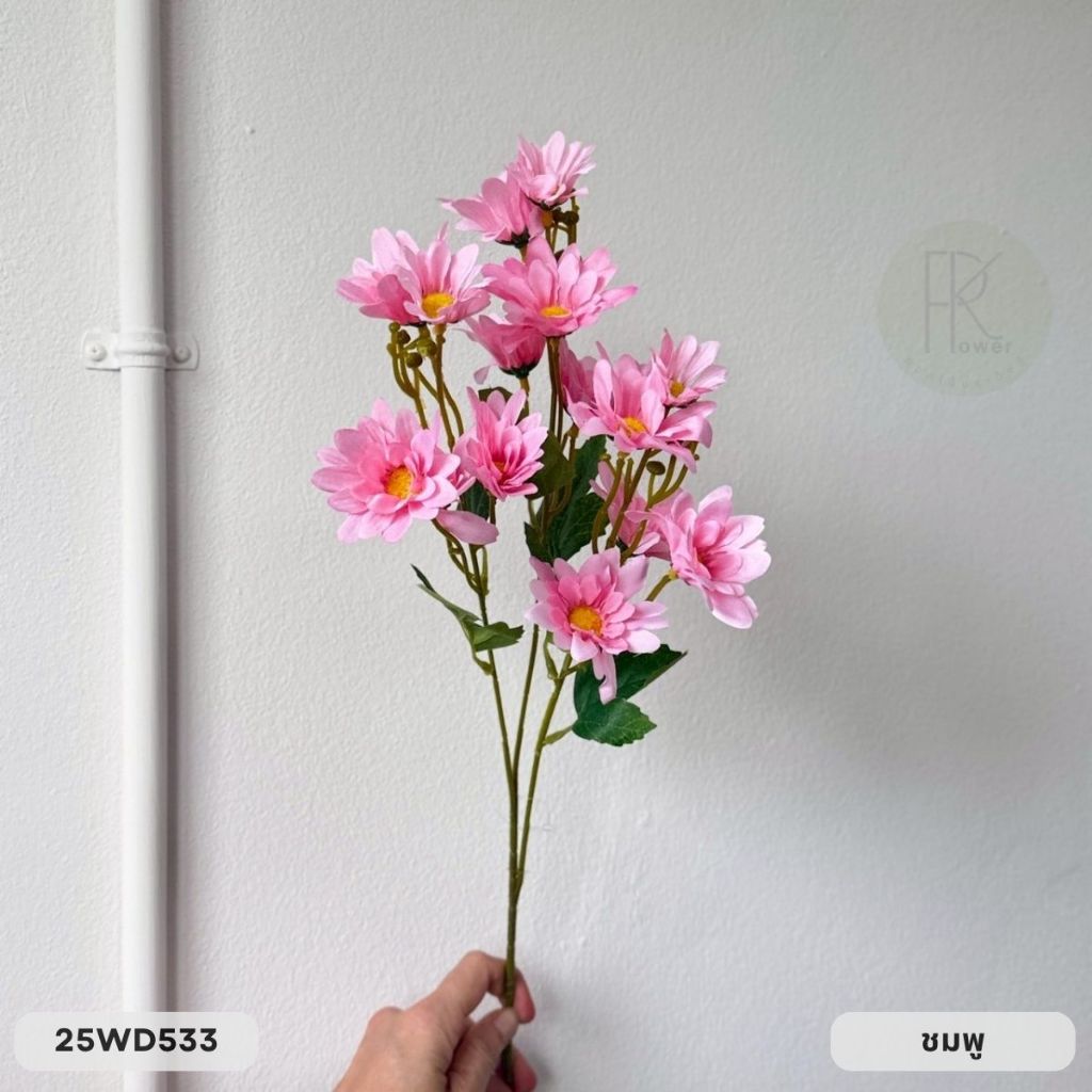 เดซี่ก้านยาว 3 กิ่ง 15 ดอก หน้าดอก 7 cm. สูง 63 cm. - รูปที่ 5