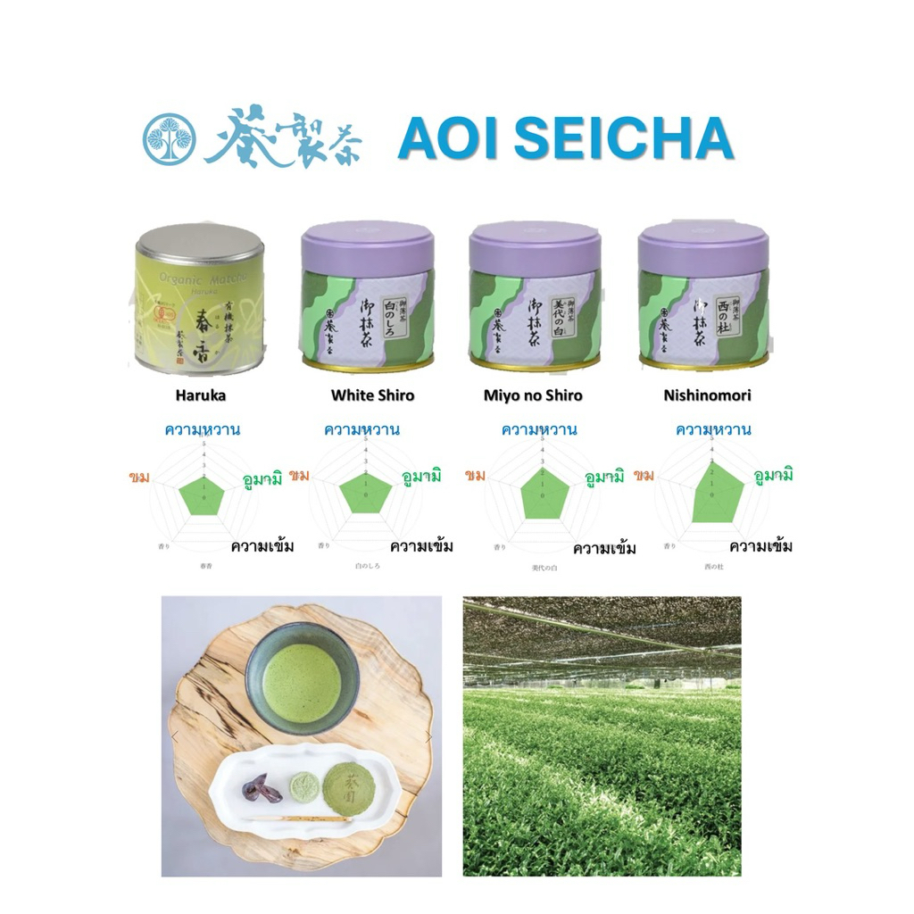 Aoi Seicha Matcha แท้ส่งตรงจากญี่ปุ่น