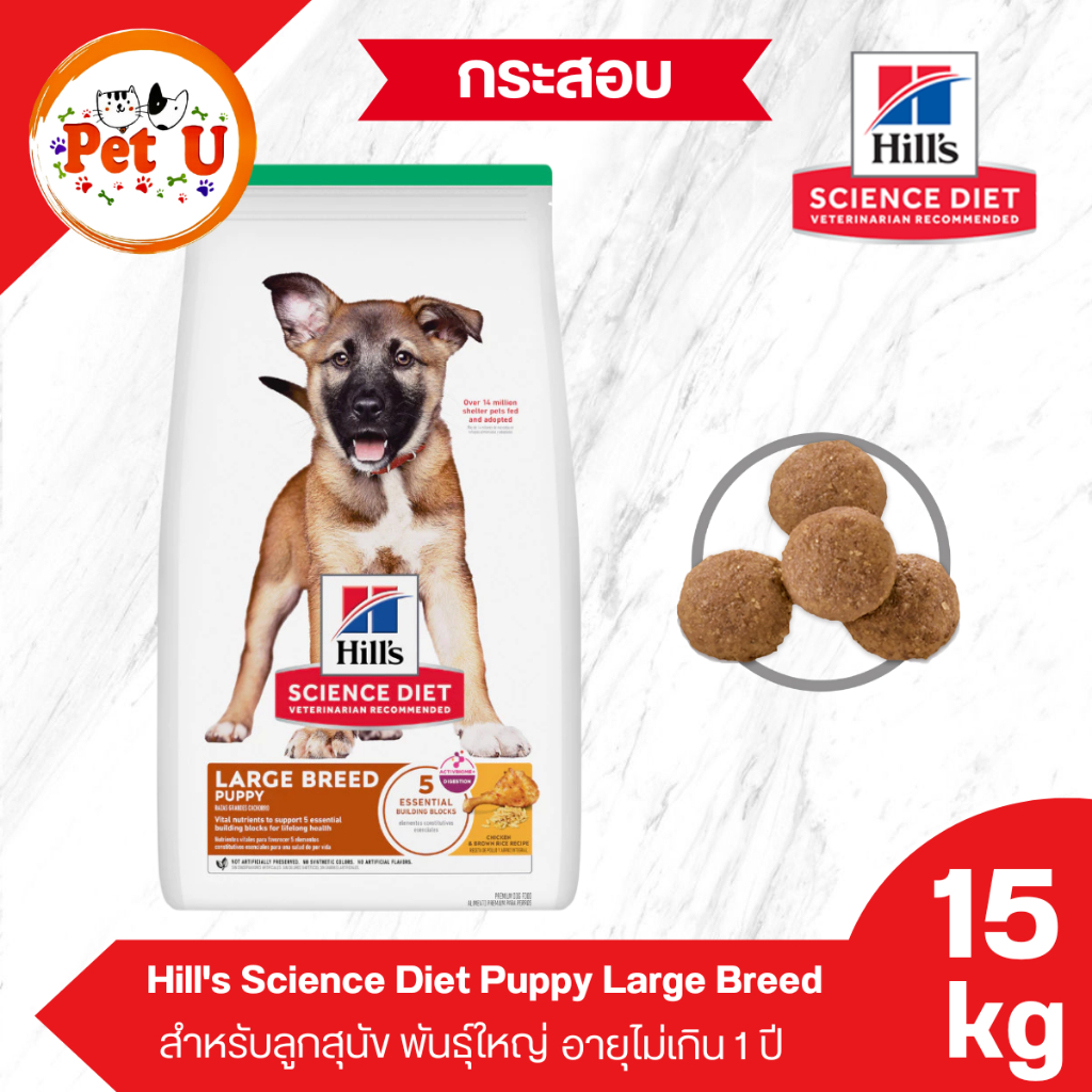 (Dog) Hill's Science Diet Puppy Large Breed 15kg อาหารลูกสุนัข พันธุ์ใหญ่ อายุในช่วง 1ปี