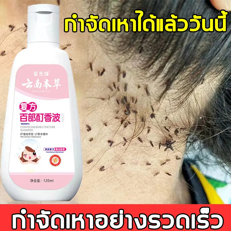 [COD] แชมพูฆ่าเหา สูตรสมุนไพร 2 ขนาด 120ml / 240ml กลิ่นหอม ไม่ระคายเคือง เหมาะสำหรับทุกวัย กำจัดเหา 1 ครั้งเห็นผล