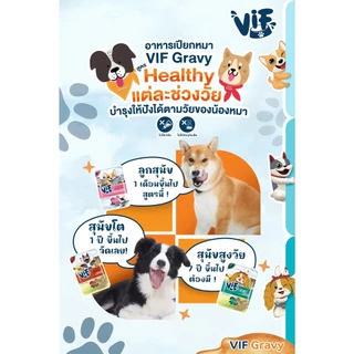 Felina Canino VIF อาหารเปียกสำหรับสุนัข ขนาด 75 กรัม (12ซอง)