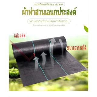 🔥พลาสติกคลุมดิน ผ้าคลุมวัชพืช ผ้าคลุมดิน พลาสติกคลุมวัชพืช 2×100 3×50 3×100 ป้องกันรังสี หมดปัญหาหญ้าขึ้นกวน🔥