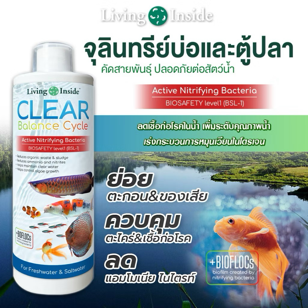 จุลินทรีย์แบคทีเรีย living inside สำหรับบ่อปลาและตู้ปลาปรับปรุงคุณภาพน้ำ ขนาด 200 เอ็มแอล