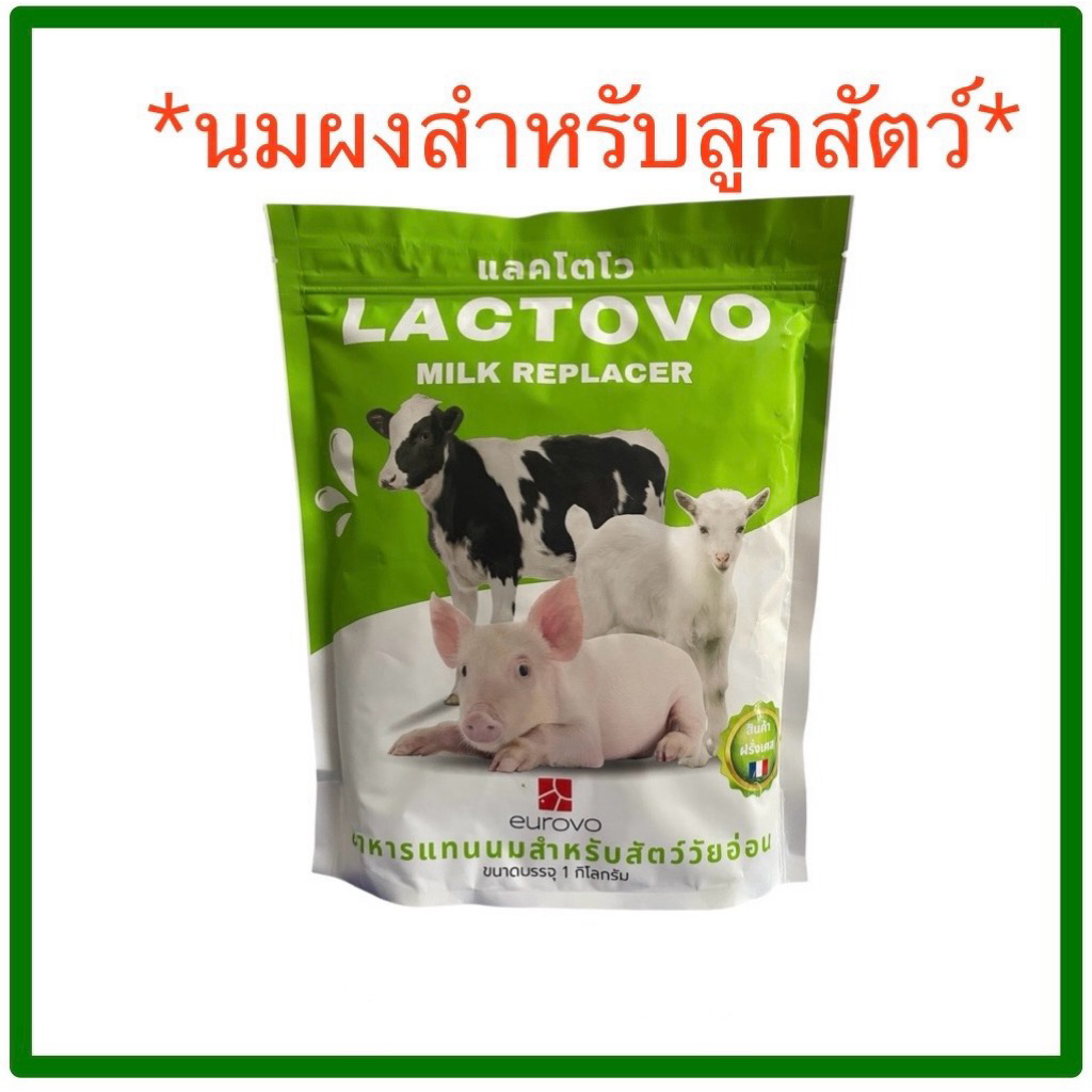 นมผงสำหรับลูกสัตว์ แลคโตโว Lactovo
