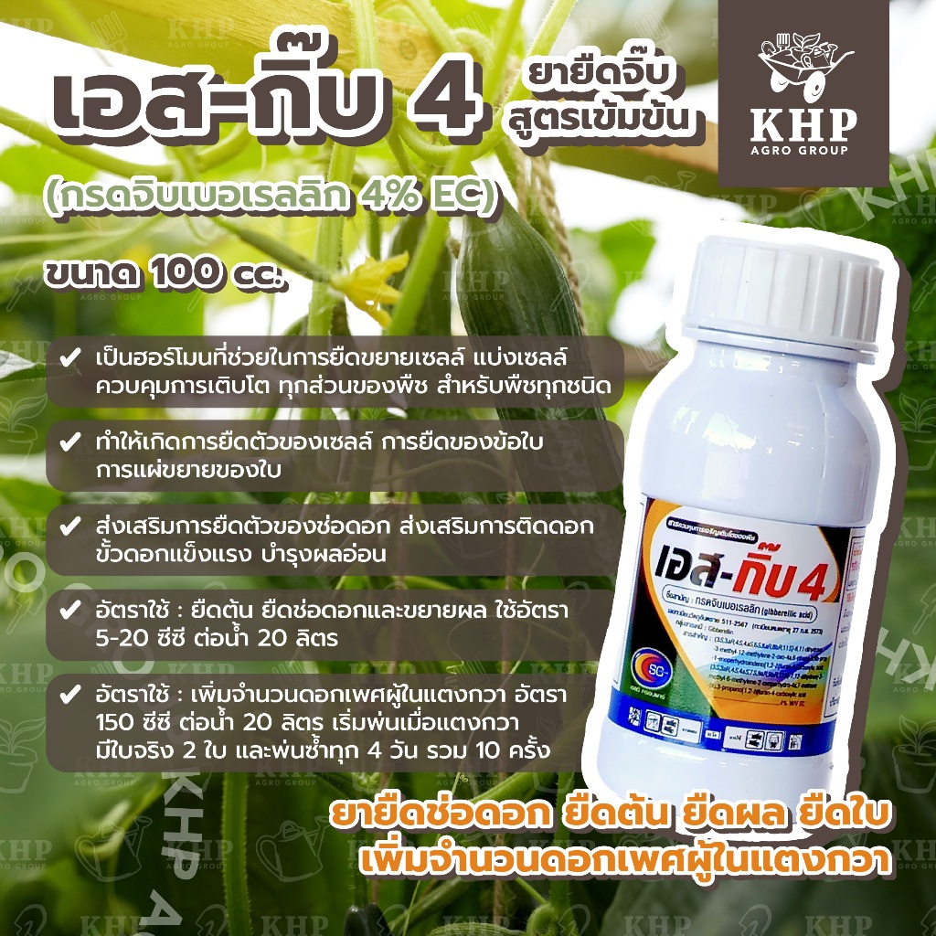 เอสกิ๊บ4 จิบเบอเรลลิก 4%EC ยายืดจิ๊บ ยายืดช่อดอก ยืดต้น ยืดผล ยืดใบ เพิ่มจำนวนดอกเพศผู้ในแตง สูตรเข้มข้น 100 cc.