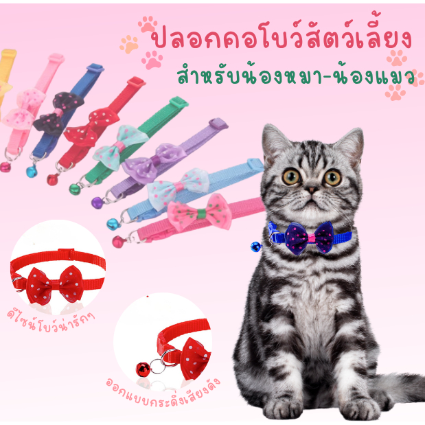 ปลอกคอ โบว์ลายจุด แมว ปลอกคอหมา กระดิ่ง ปลอกคอสัตวเลี้ยง สุนัข