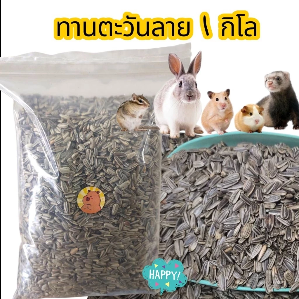 เมล็ดทานตะวันลาย (แบ่งขาย 500 g. ,200g., 1 kg.) อาหารนกแก้ว นกเล็ก เเละนกขนาดกลาง อาหารแฮมเตอร์ เเละสัตว์ฟันเเทะ