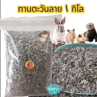 เมล็ดทานตะวันลาย (แบ่งขาย 500 g. ,200g., 1 kg.) อาหารนกแก้ว นกเล็ก เเละนกขนาดกลาง อาหารแฮมเตอร์ เเละสัตว์ฟันเเทะ