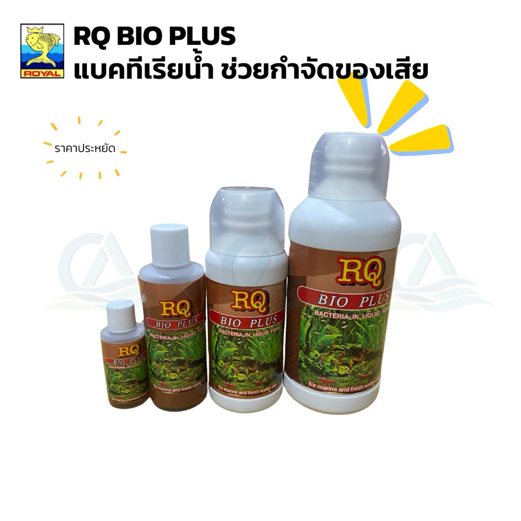 RQ BIO PLUS แบคทีเรียตู้ปลา ย่อยสลายของเสีย ช่วยบำบัดน้ำเสีย สำหรับตู้ปลา บ่อปลา