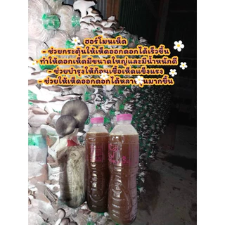 ฮอร์โมน 1000 กรัม เห็ดทุกชนิด ปลอดสาร