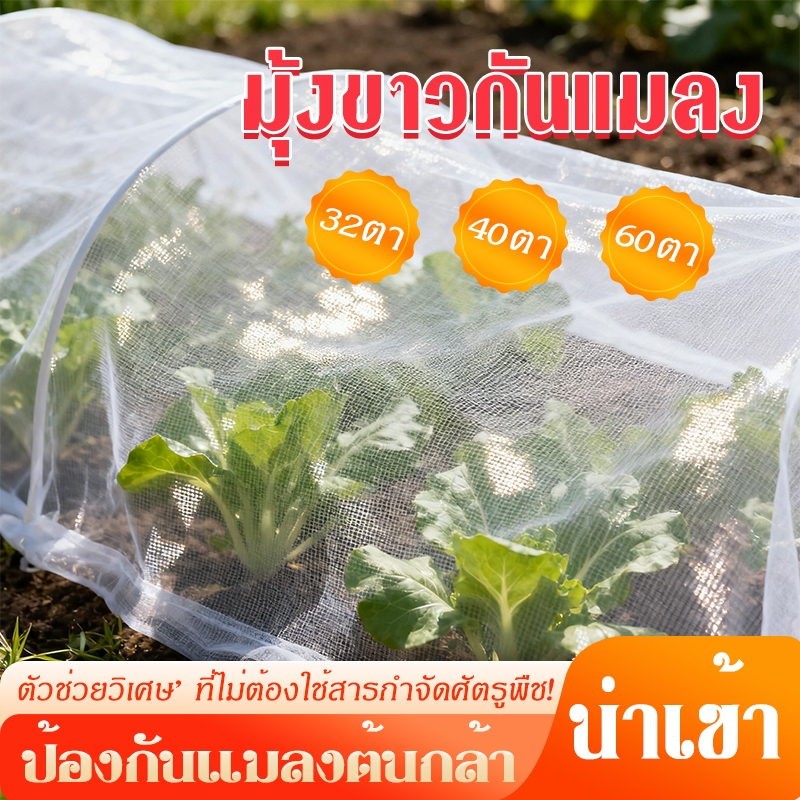 มุ้งขาวกันแมลง มุ้งขาว มุ้งกันแมลง ผัก มุ้งตั๊กแตน มุ้งขาว 32ตาข่าย/40ตาข่าย/60ตาข่าย[ขายตรงจากโรงงาน]