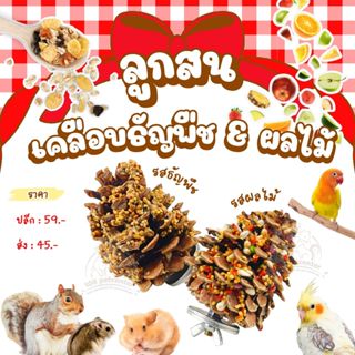ขนมลับฟันลูกสน เคลือบธัญพืชและผลไม้ ขนมหนูแฮมสเตอร์ กระรอก น…
