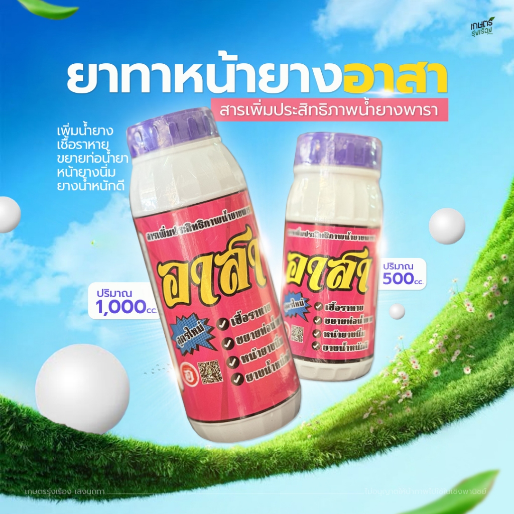 ยาทาหน้ายางอาสา เพิ่มน้ำยาง  เชื้อราหาย ขยายท่อน้ำยา หน้ายางนิ่ม ยางน้ำหนักดี
