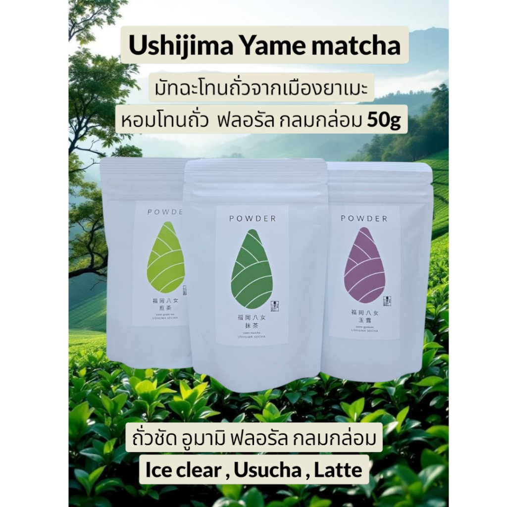 Ushijima Yame Matcha และ Gyokuro powder ตัวนี้หอมนัวถั่วมาก โดยเฉพาะสายลาเต้ไม่ควรพลาดค่ะ ลอตใหม่