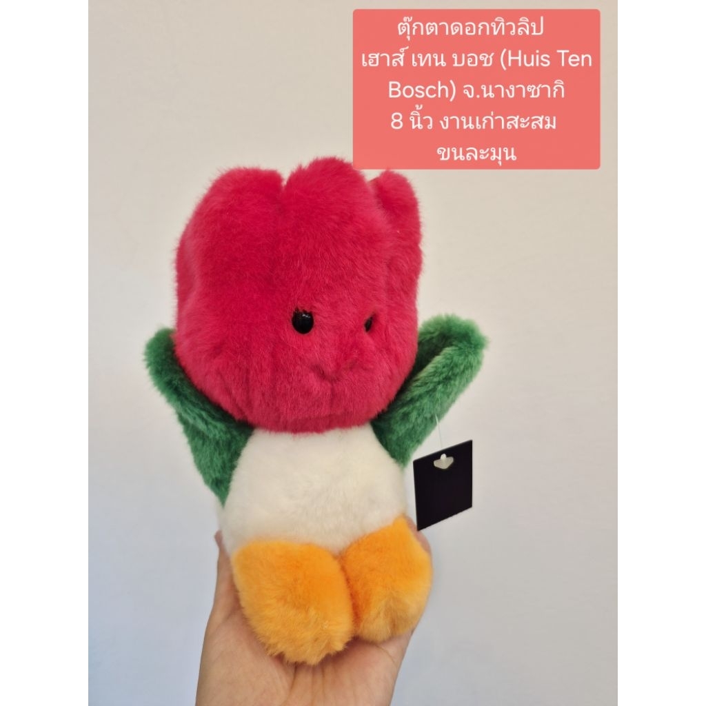 ตุ๊กตา ดอกทิวลิป Huis Ten Bosch งานสะสมเก่า