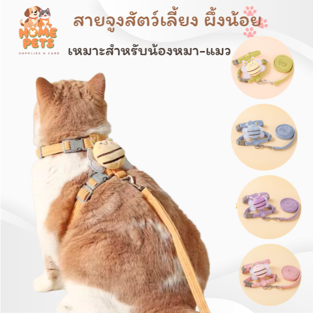 เสื้อรัดอกพร้อมสายจูง สำหรับสัตว์เลี้ยง ออกแบบดีไซน์ทันสมัย น้องผึ้งน่ารัก พร้อมจัดส่งทุกสีทุกไซส์