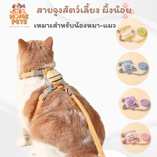 เสื้อรัดอกพร้อมสายจูง สำหรับสัตว์เลี้ยง ออกแบบดีไซน์ทันสมัย น้องผึ้งน่ารัก พร้อมจัดส่งทุกสีทุกไซส์