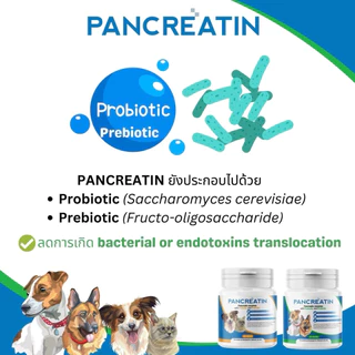 PANCREATIN เอ็นไซม์เสริมอาหารสำหรับสุนัขและแมวที่มีภาวะตับอ่อน Pancreas
