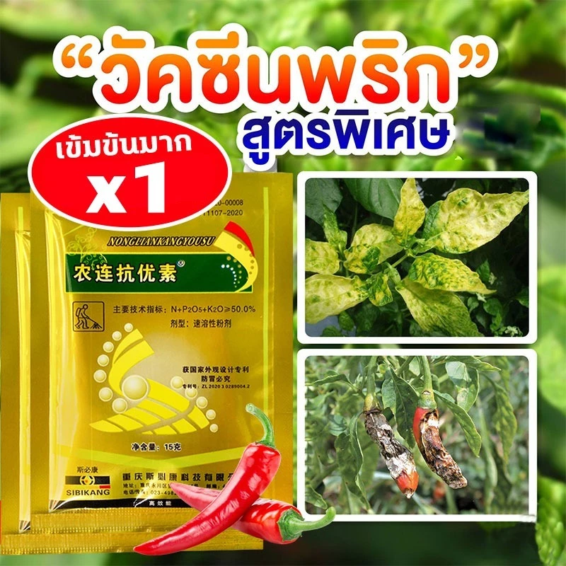 1ครั้งเห็นผล ป้องกันโรคพริกเน่า ยาป้องกันโรคพืช ต่างๆ ใช้ควบคุมโรคเน่า โรคสนิม โรคราน้ำค้าง ยาฉีดพริกเน่า กำจัดโรคเหี่ยว