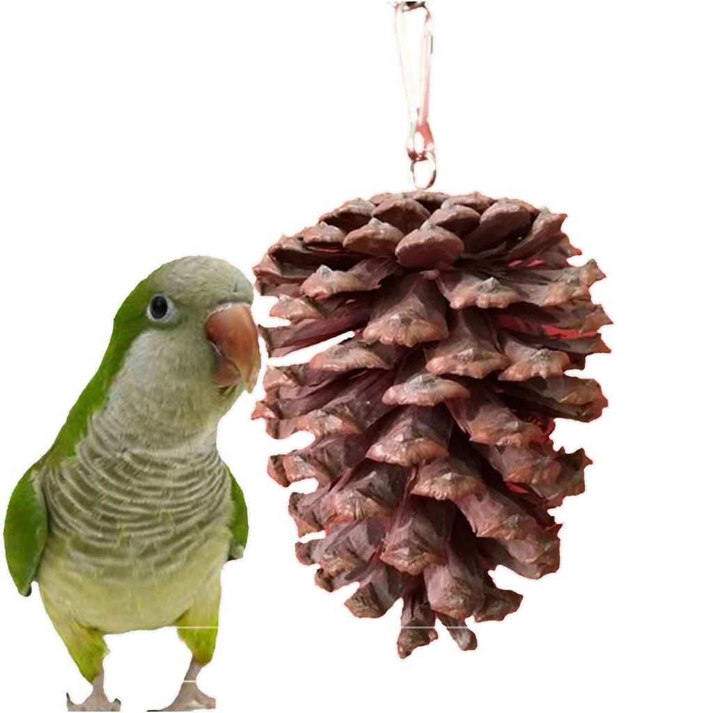 ลูกสน มีตะขอ ลูกสนแห้งลับฟันสำหรับสัตว์ฟันแทะ นกแก้ว สัตว์เลี้ยง ของเล่นนก Pinecones 4-5cm ฟันกราม