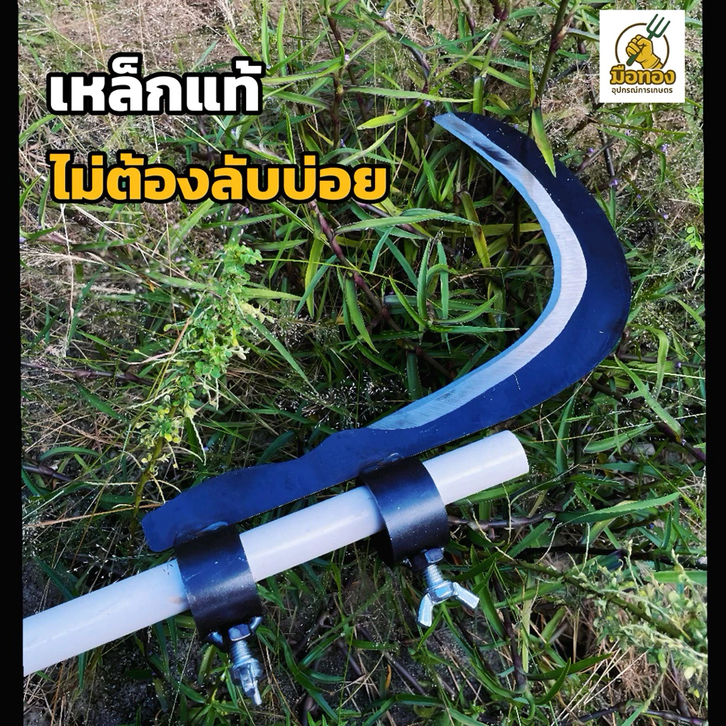 เคียวเหล็กแมงกานีสแท้ คมจริง ตัดง่ายไม่ลื่น มือทองอุปกรณ์การเกษตร thumbnail 7