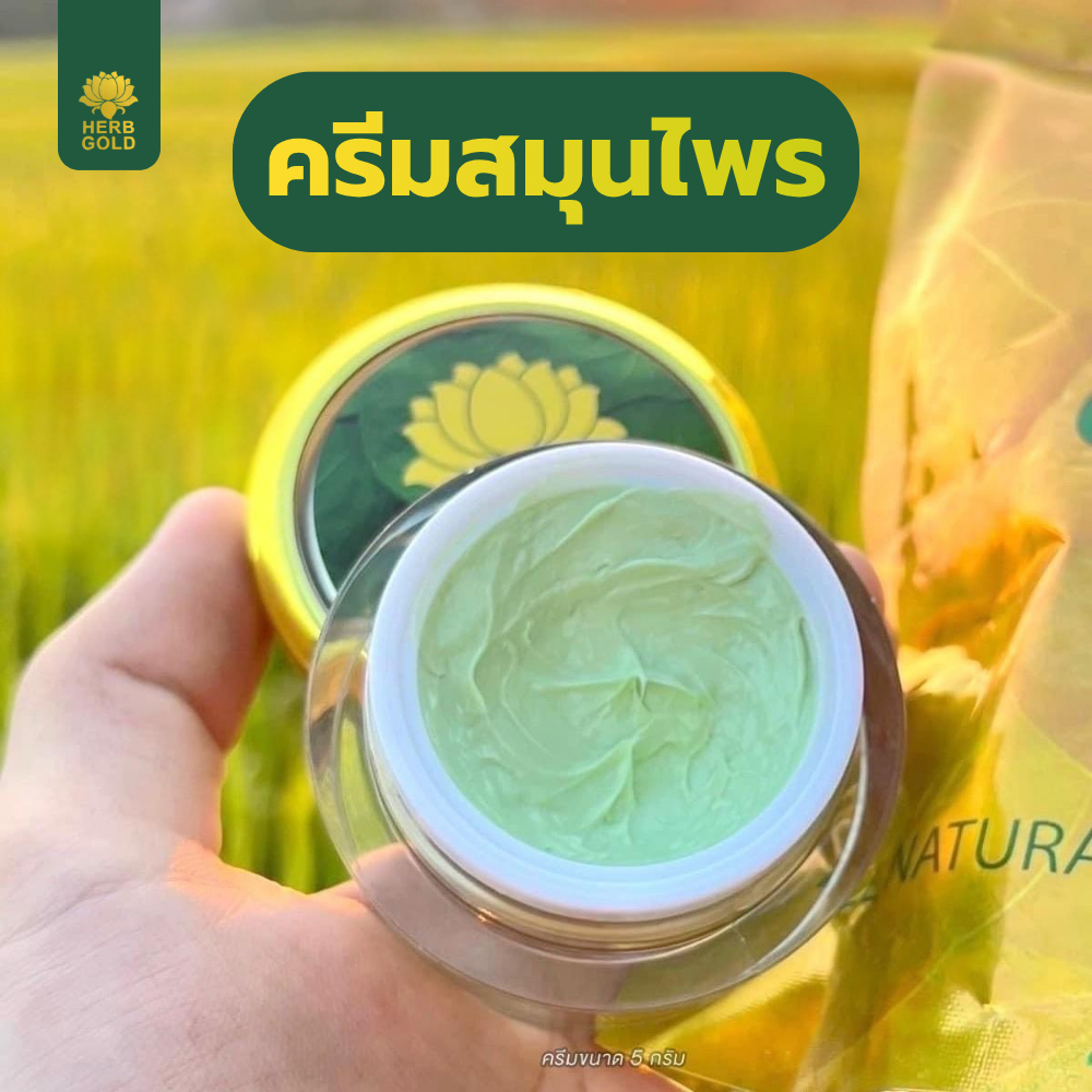 Herb Gold ครีมเฮิร์บโกล์ดรีฟิล ครีมมินิรีฟิล 5 กรัม